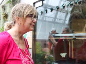 A woman looks into a glass case where butterflies are in various stages of development.