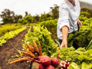 A person sitting among rows of green plants in a garden reaches an arm out towards a box containing carrots, radishes and lettuce.