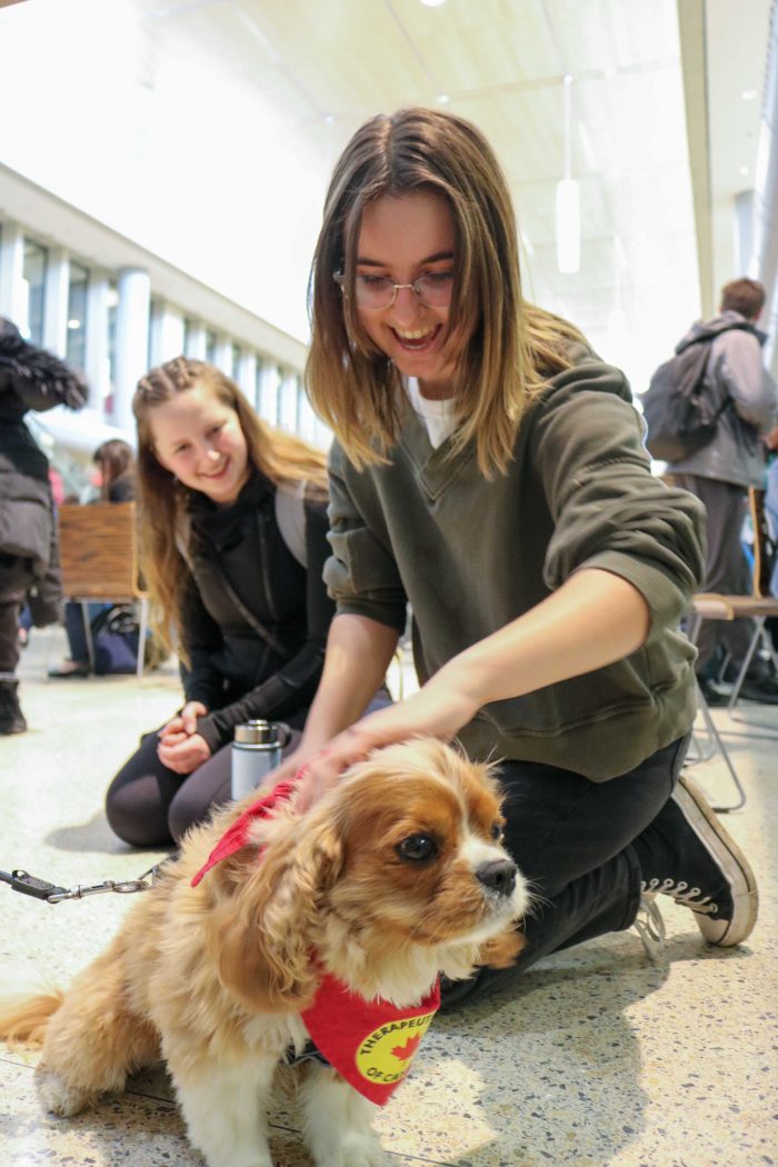 Michelle Rizzi smiles and pets Oliver, a honey-coloured King Charles Spaniel wearing a red neckerchief with the Therapeutic Paws of Canada logo.