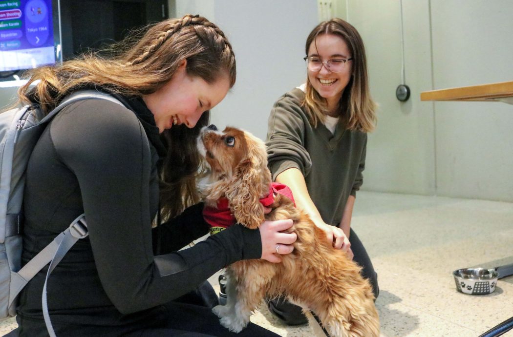 Grad’s findings on therapy dogs opens new research paw-tential – The ...