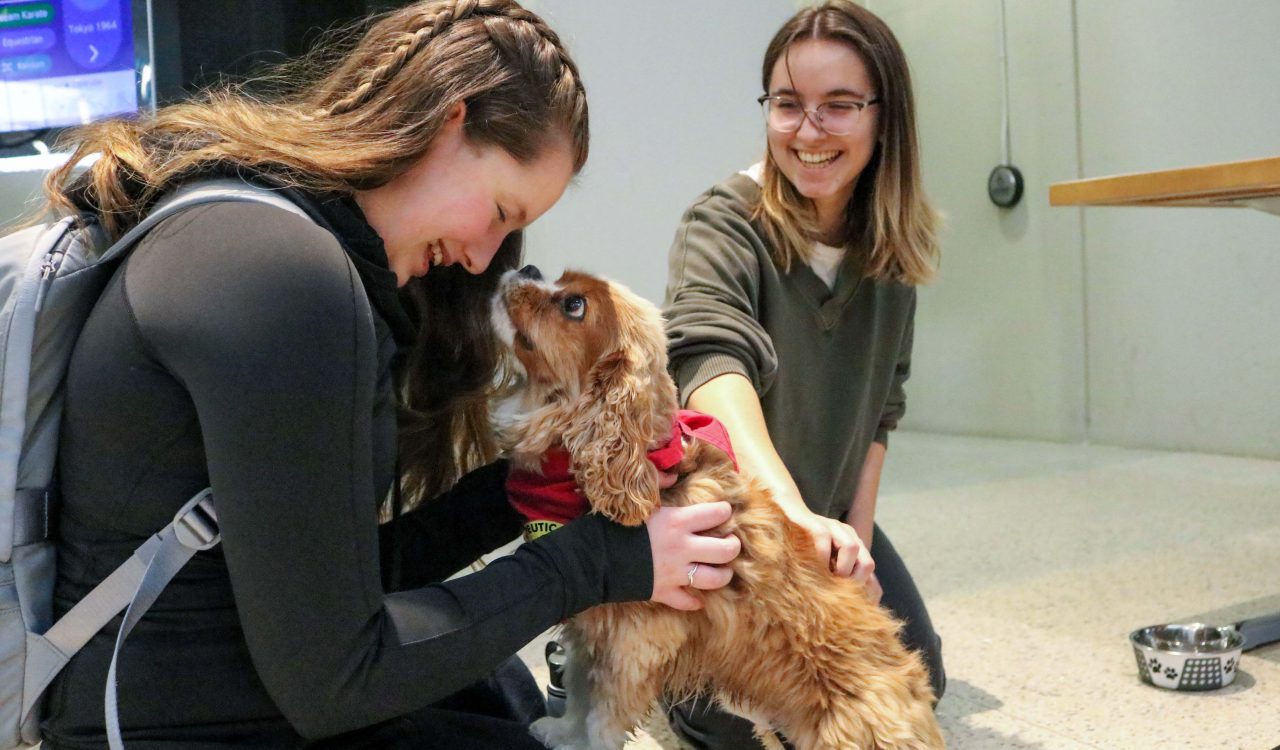 Gillian Blair, kneeling, drops her face toward Oliver, a honey-coloured King Charles Spaniel wearing a red neckerchief, while Michelle Rizzi smiles at the interaction.