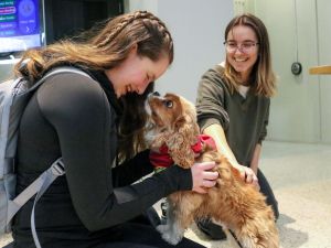 Gillian Blair, kneeling, drops her face toward Oliver, a honey-coloured King Charles Spaniel wearing a red neckerchief, while Michelle Rizzi smiles at the interaction.