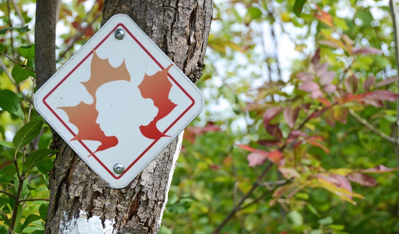 A sign with a silhouette of Laura Secord’s face marks a section of the Laura Secord Legacy Trail that runs from Niagara-on-the-Lake to Thorold.