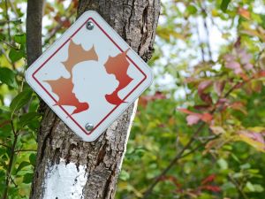 A sign with a silhouette of Laura Secord’s face marks a section of the Laura Secord Legacy Trail that runs from Niagara-on-the-Lake to Thorold.