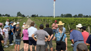 A group of people listen to a man speaking in a vineyard.