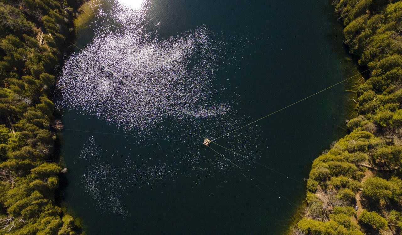 An aerial shot of a lake surrounded by green trees.