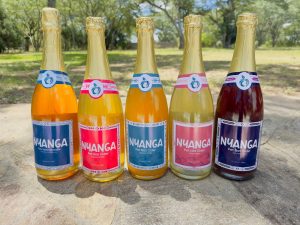 Image of several bottles of cider sitting in the grass.