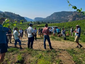 A group of people stand in a vineyard surrounded by mountains.