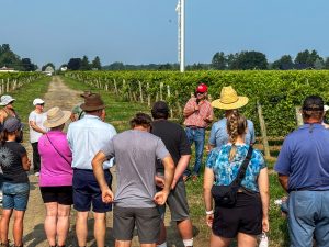 People stand in a vineyard listening to a person speak.