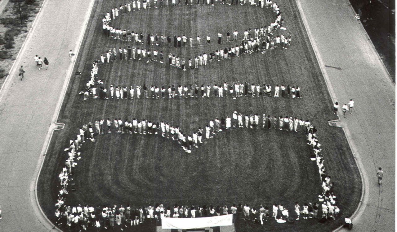 People stand in a green field spelling out the words "Brock 25th" as seen from the sky.