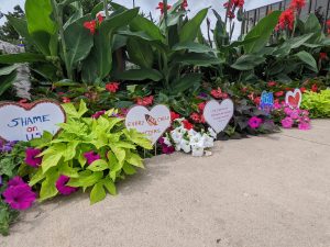 A row of paper hearts with text and images painted on them line a garden as a memorial of children lost to the residential school system.