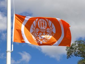 Orange survivors flag flies on a flagpole in front of a blue skty.