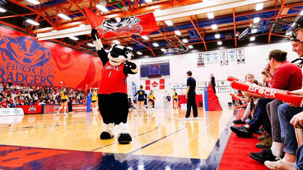 A mascot in the form of a Badger waves a bright red flag with the Brock Badgers logo in front of a large crowd during a volleyball game at Brock University.