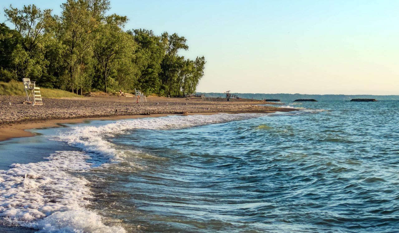 Water from a lake washes up on a sandy shore, with green trees in the background.