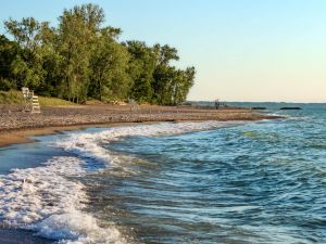 Water from a lake washes up on a sandy shore, with green trees in the background.