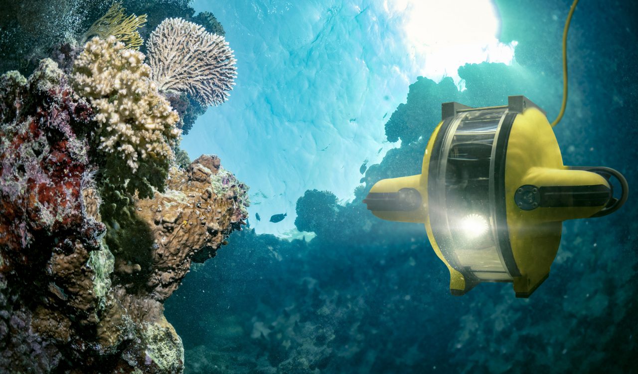 A robotic device navigates the ocean floor, lighting colourful coral and aquatic life.