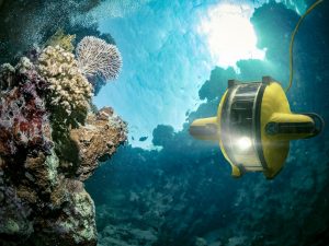 A robotic device navigates the ocean floor, lighting colourful coral and aquatic life.