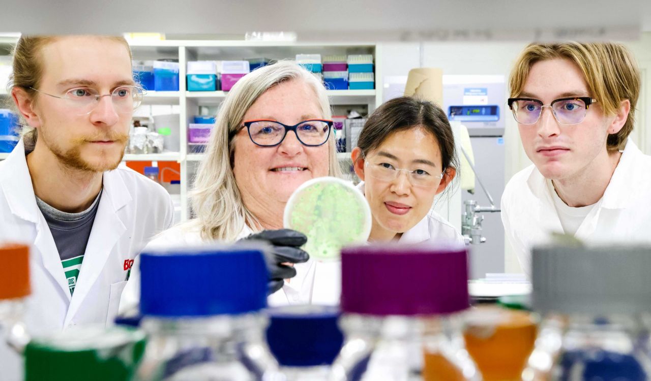 Four people in labcoats look at a petri dish being held up by one of the scientists.