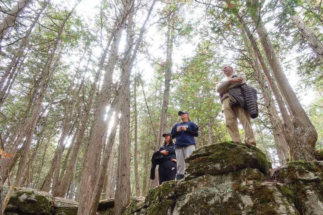 Associate Professor David Goldblum and two students stand atop mossy rocks in a forest, surrounded by tall trees with the sun shining between the branches at the Warsaw Caves Conservation Area.