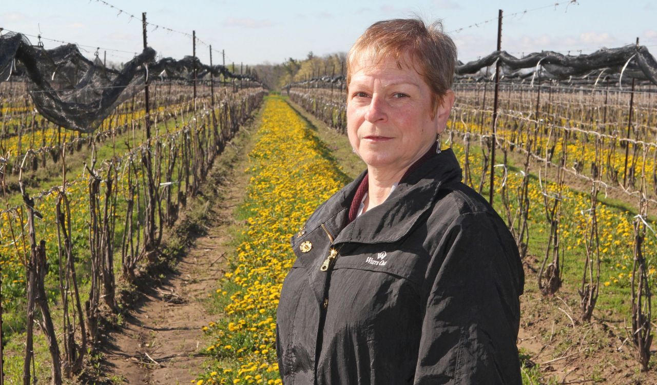 Professor of Biology Liette Vasseur stands in front of rows of vines interspersed with rows of yellow flowering plant close to the ground.