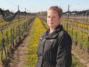 Professor of Biology Liette Vasseur stands in front of rows of vines interspersed with rows of yellow flowering plant close to the ground.