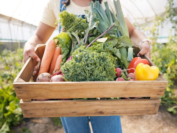 Person holds basket of fresh vegetables