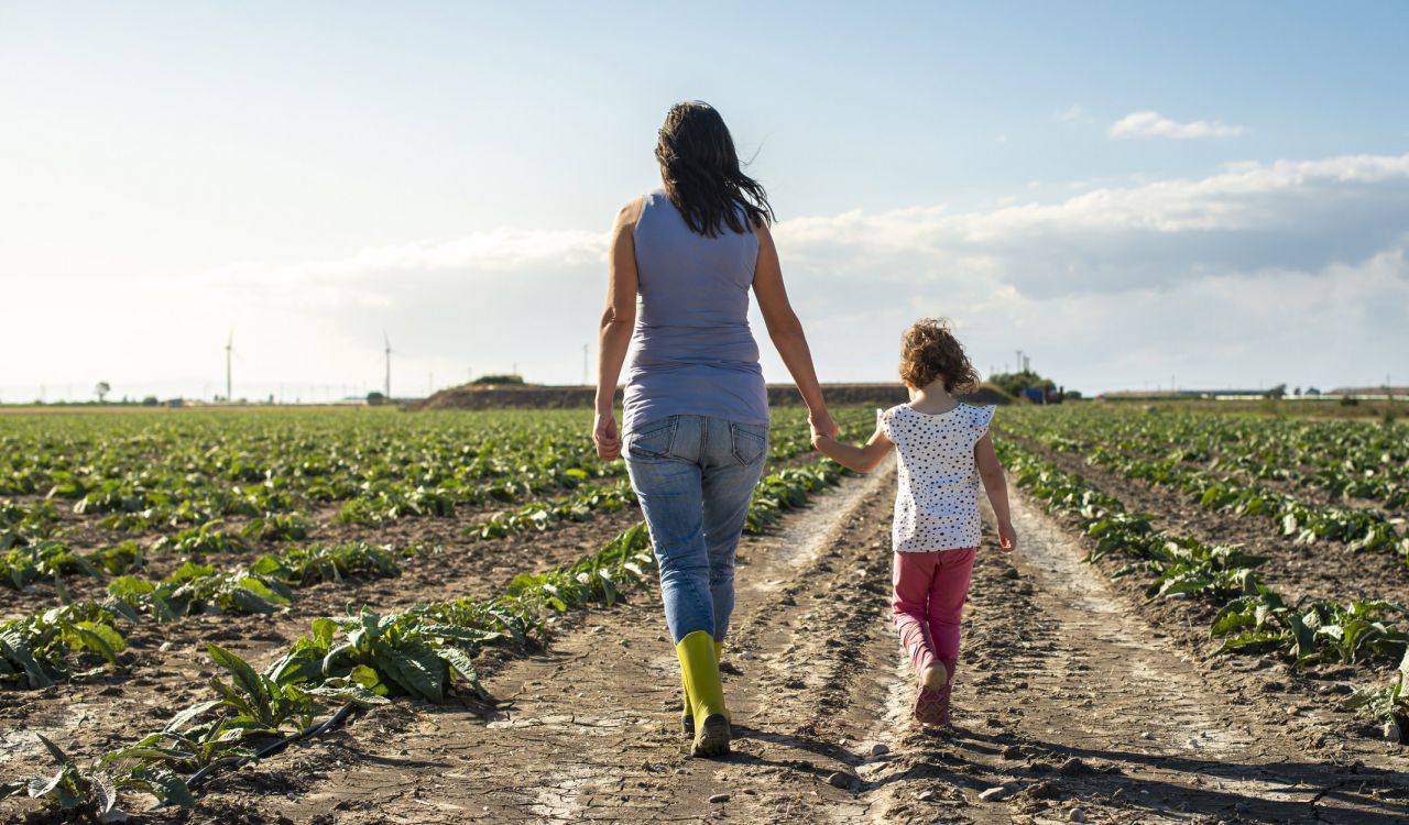 A woman and little girl walk through a field on a farm.