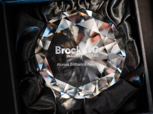 A sparkling award on a black cushion.