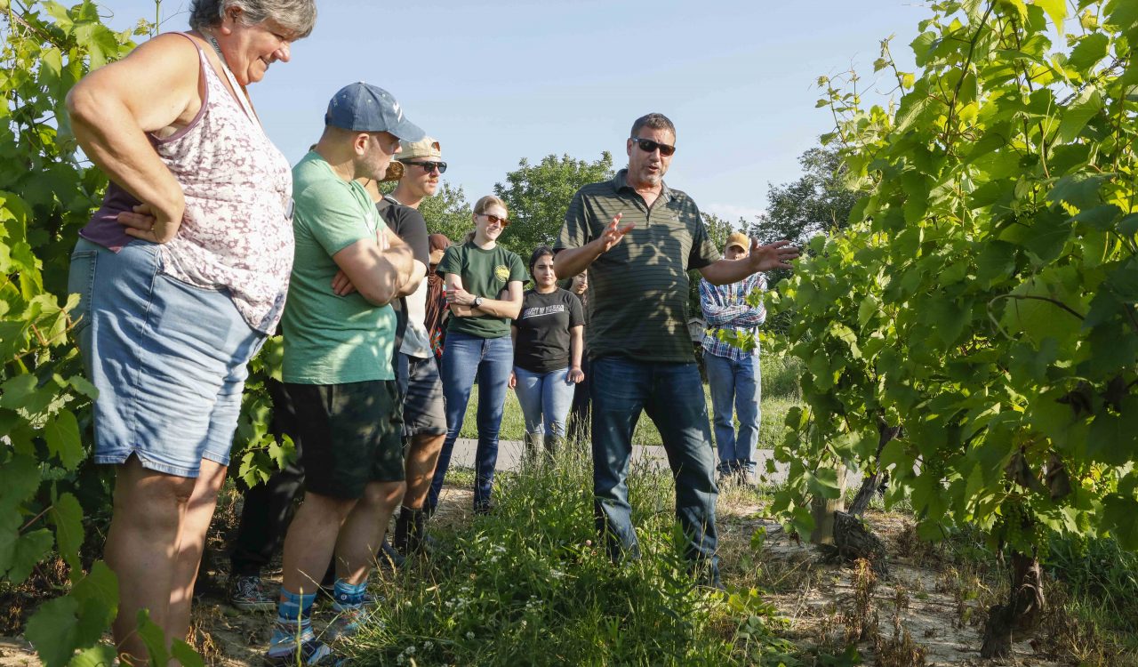 A man speaks to a group of people in a vineyard.