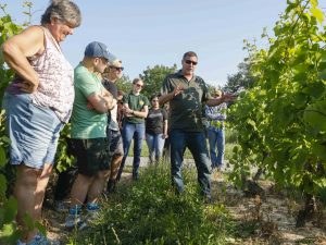 A man speaks to a group of people in a vineyard.