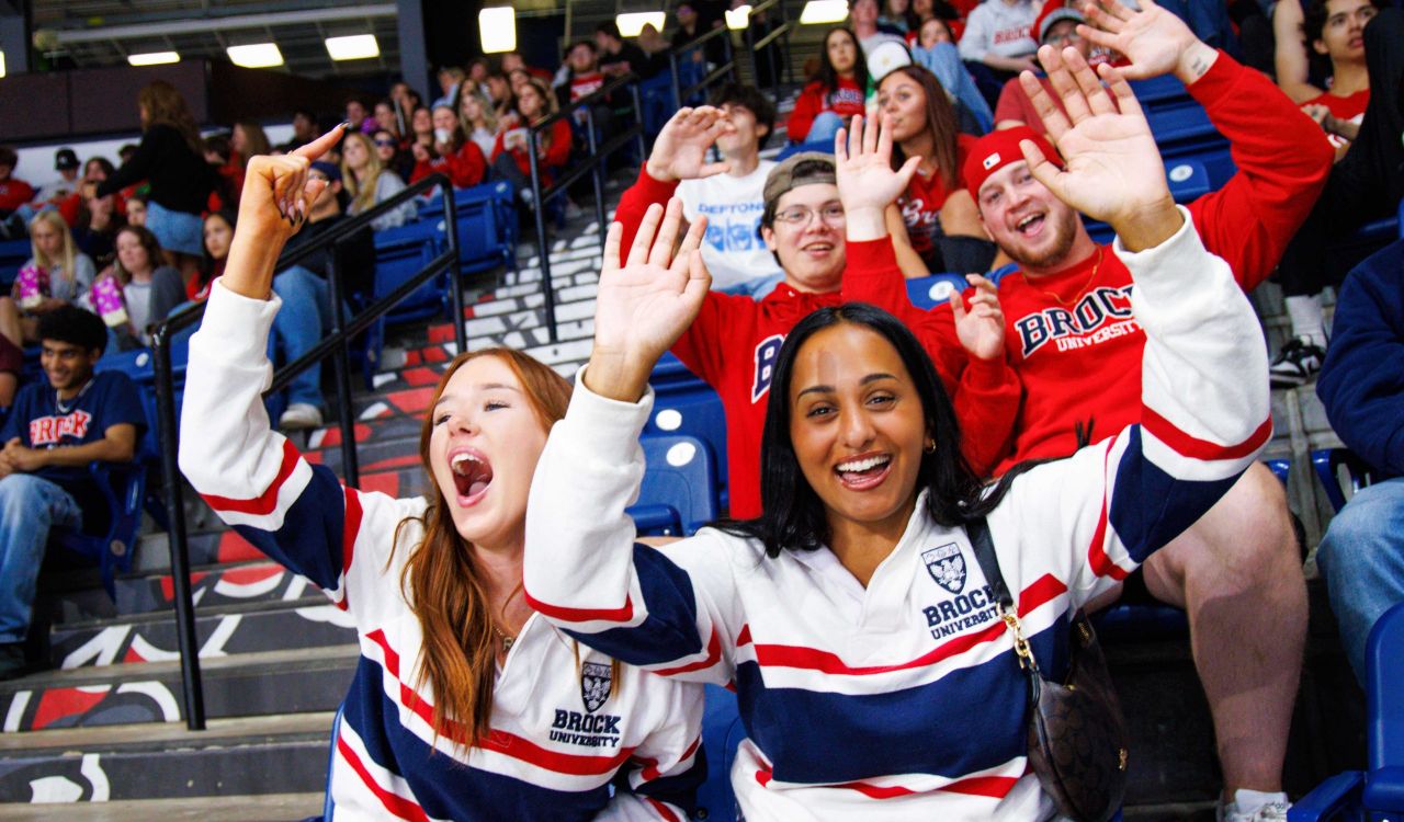 Fans in an arena cheer for a team.