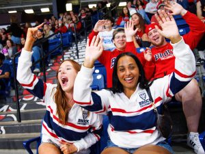 Fans in an arena cheer for a team.