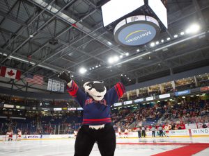 Brock's mascot, Boomer the Badger, stands with his paws in the air in a busy hockey arena.