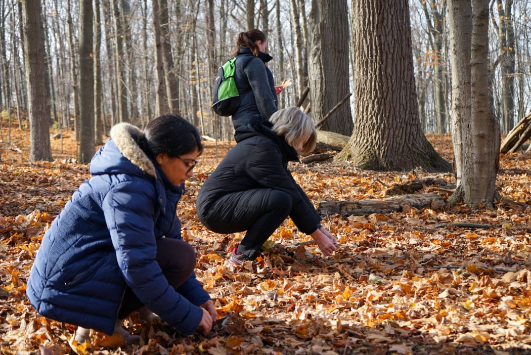 Three people pick up leaves in a forest.