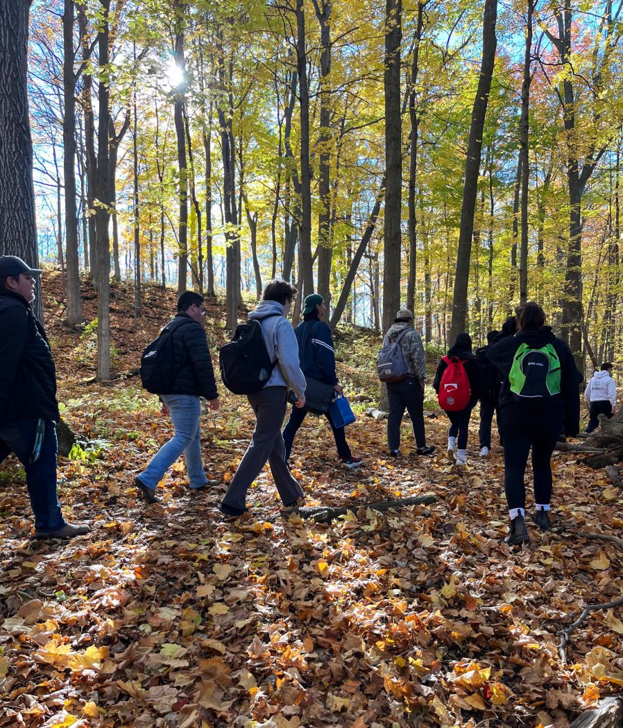 A group of people walk through the forest with its ground covered in fallen leaves.