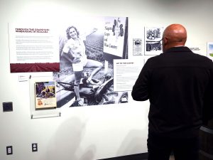 A man looks at a museum exhibit.