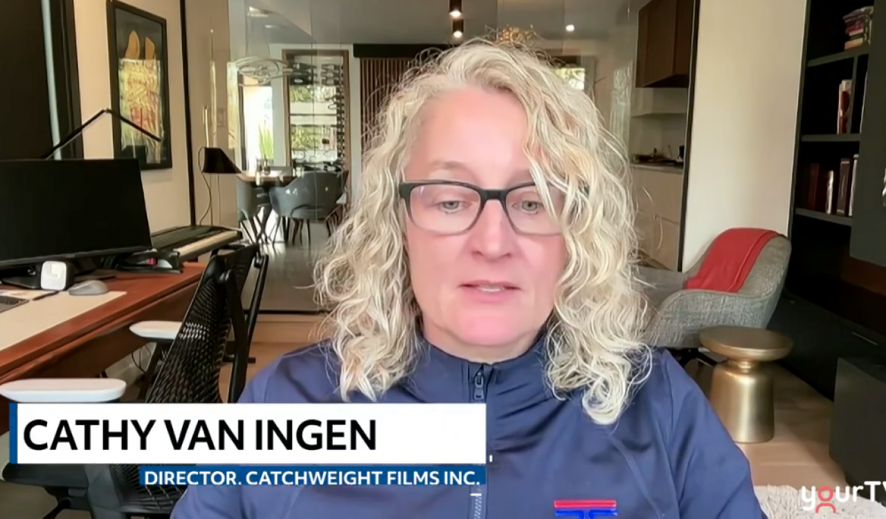 woman wearing a blue sweater does an online television interview.