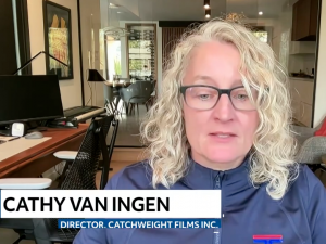 woman wearing a blue sweater does an online television interview.