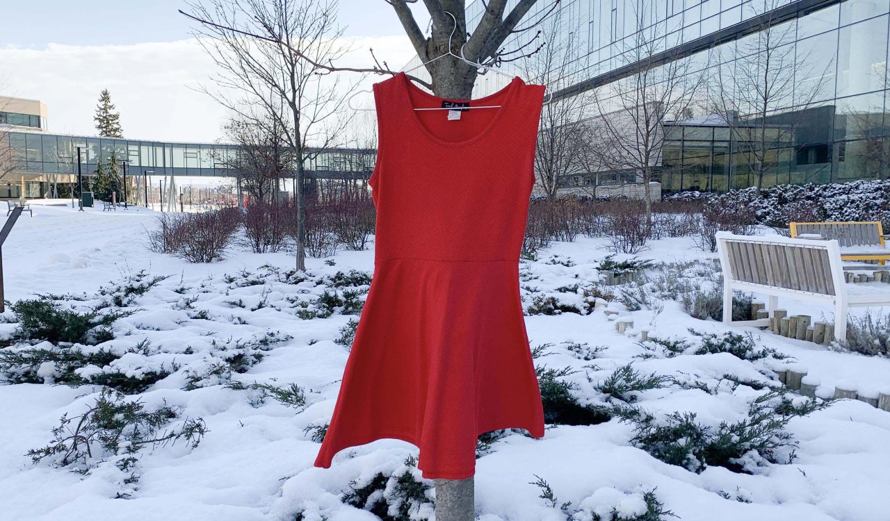 Empty red dress hangs on a tree.