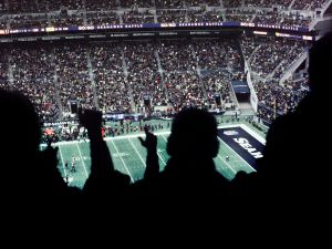 A crowd cheers at a football game with the field and stadium in the background.