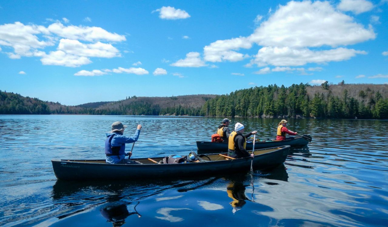 Canoeists in Algonquin park on Lake Louisa under a sunny sky.