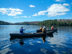 Canoeists in Algonquin park on Lake Louisa under a sunny sky.