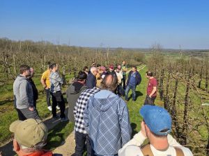 A group of people stand outdoors in an apple orchard.