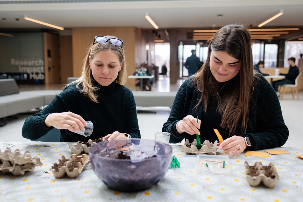 Two women plant seeds in egg cartons in a sunny atrium.