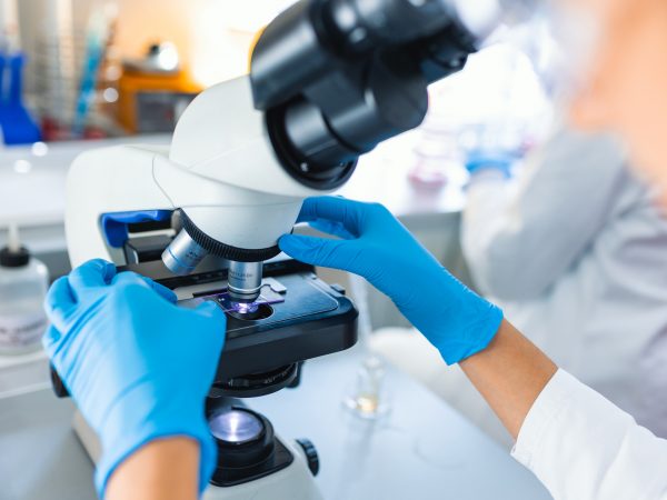 Close-up of hands in blue latex gloves touching a microscope.
