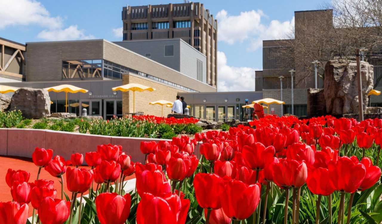 Flowers bloom in a courtyard with tall concrete buildings in the background.