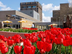 Flowers bloom in a courtyard with tall concrete buildings in the background.
