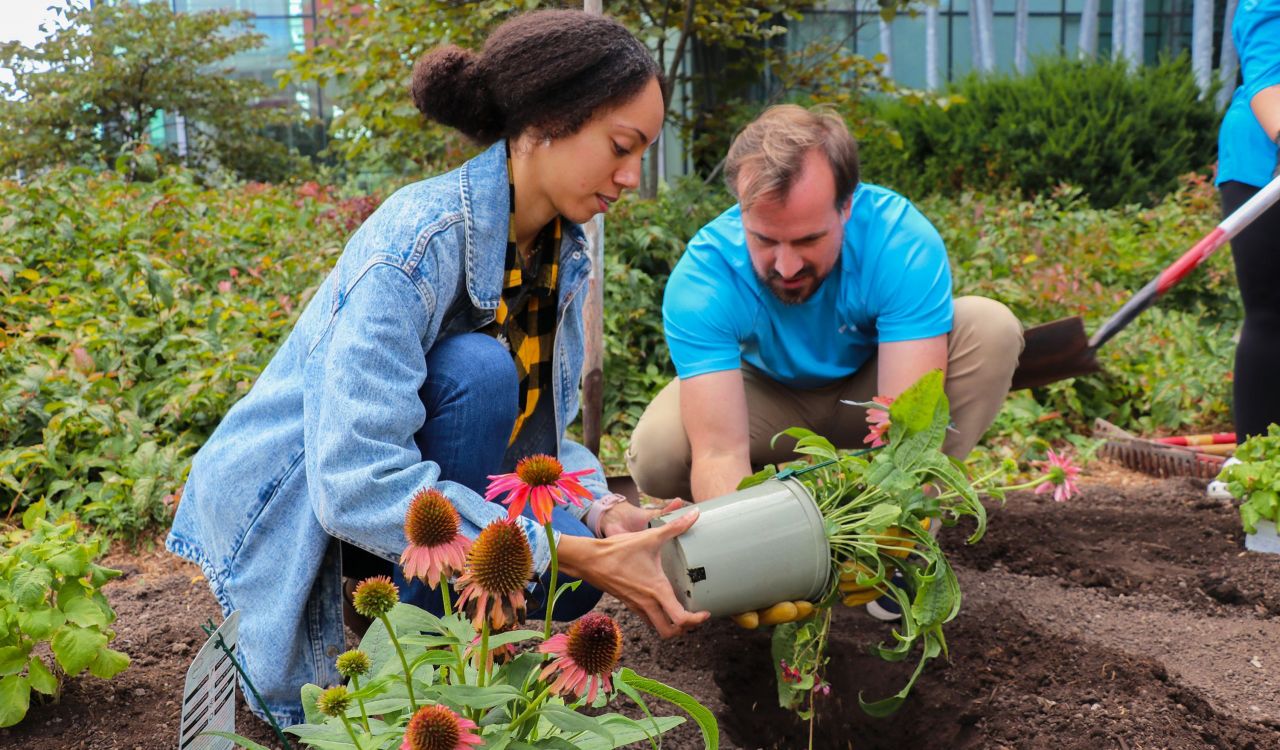 A woman and a man hold a small flowerpot with leaves, stems and flowers sticking out. They are kneeling in a garden, preparing to place the plant in a hole that’s been dug in the soil.