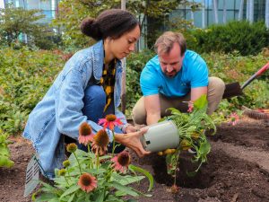 A woman and a man hold a small flowerpot with leaves, stems and flowers sticking out. They are kneeling in a garden, preparing to place the plant in a hole that’s been dug in the soil.
