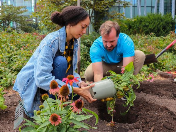 A woman and a man hold a small flowerpot with leaves, stems and flowers sticking out. They are kneeling in a garden, preparing to place the plant in a hole that’s been dug in the soil.